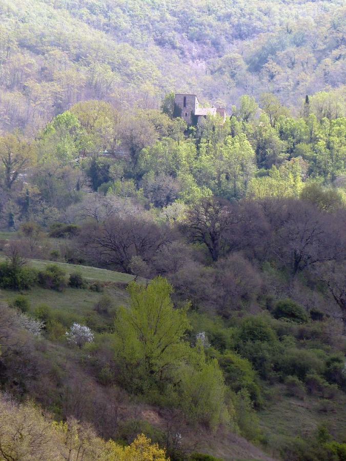 Torre Di Pornello Daire Dış mekan fotoğraf